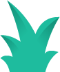Alternative Bush 3